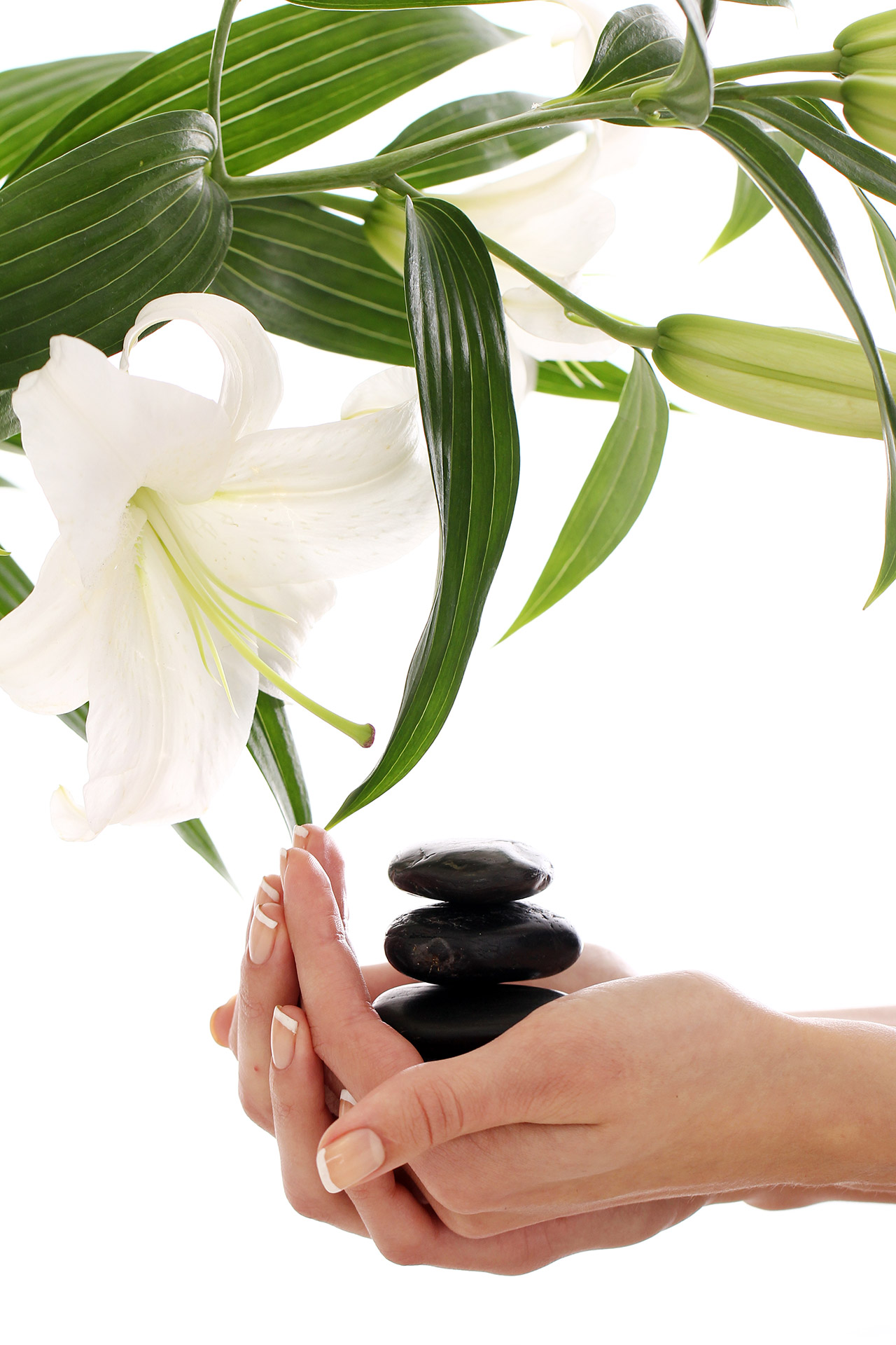 Nail Retreat